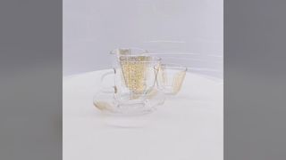 Elegant Glass Tea Cup Set for Home