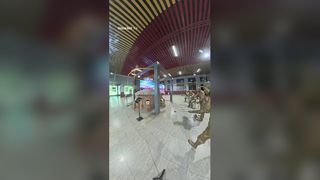 হংহাই গ্লাস ফ্যাক্টরি থেকে সরাসরি কাচের পাত্র